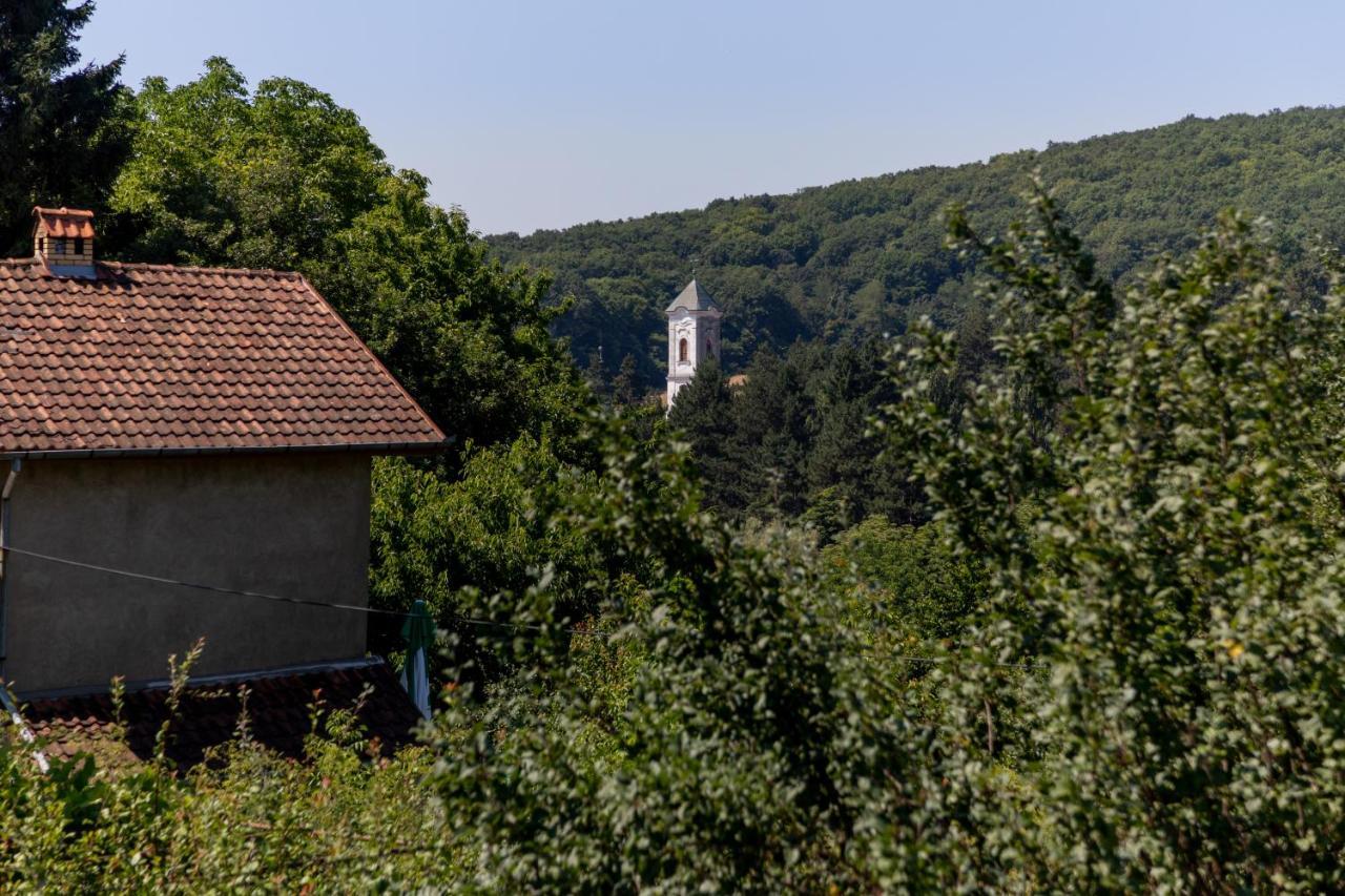 Mi Casa 2 Villa Vrdnik Eksteriør billede